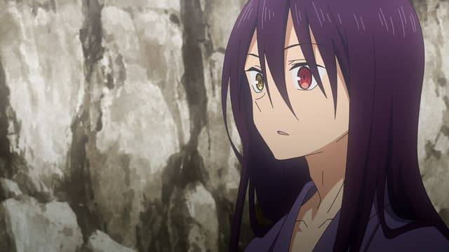 Sengoku Youko: Senma Konton-hen, The Reformer Siblings Arc in 24 minutes