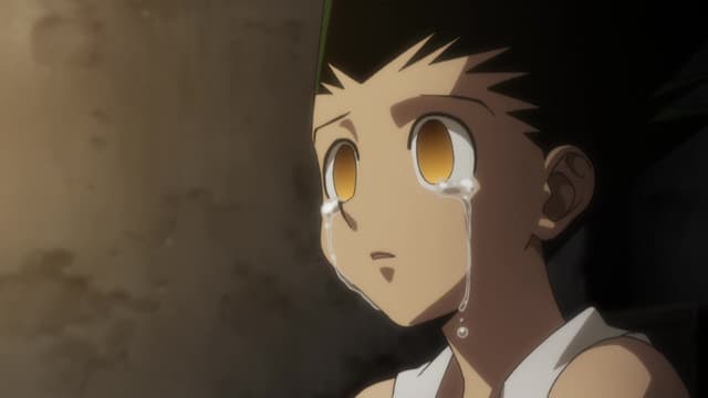 HUNTER×HUNTER (2011), Anger X And X Light