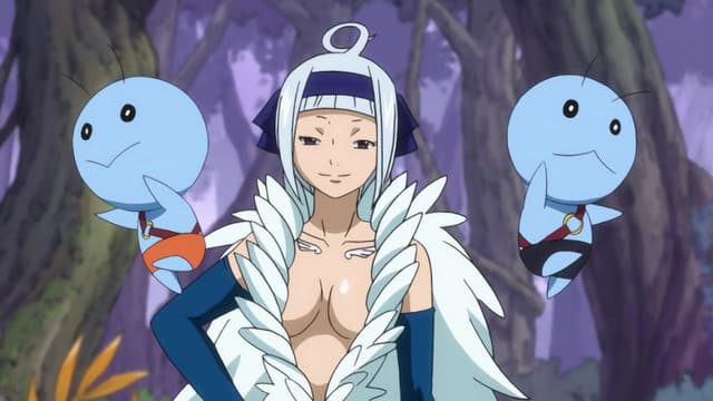 FAIRY TAIL, Celestial Skirmish