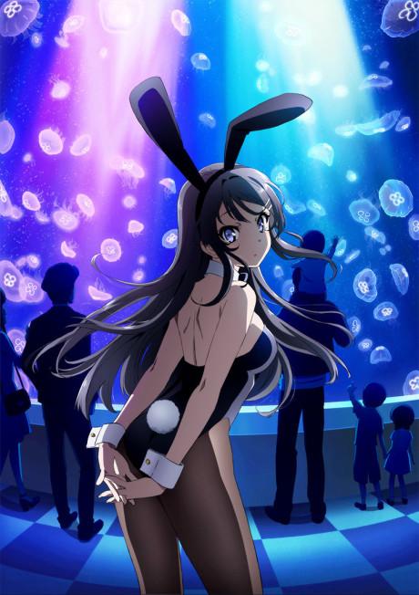 banner mobile Rascal Does Not Dream of Bunny Girl Senpai