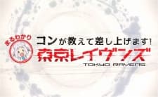 banner mobile Kon ga Oshiete Moshi Agemasu! Maru Wakari TOKYO RAVENS